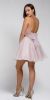 Dazzling Embroidered Two Piece Halter Short Prom Dress back